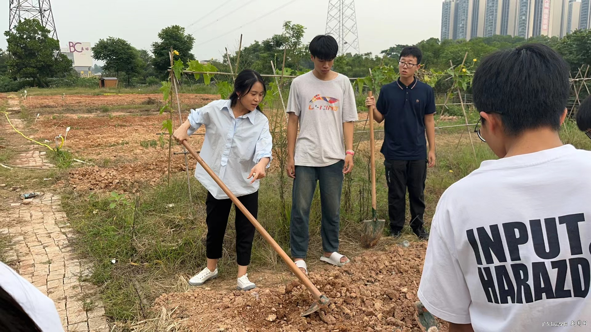 【劳动教育】应用经济学院顺利开启23级“彩虹谷”劳动实践教育-老师指导学生种植.png